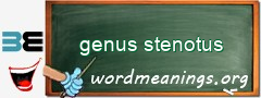 WordMeaning blackboard for genus stenotus